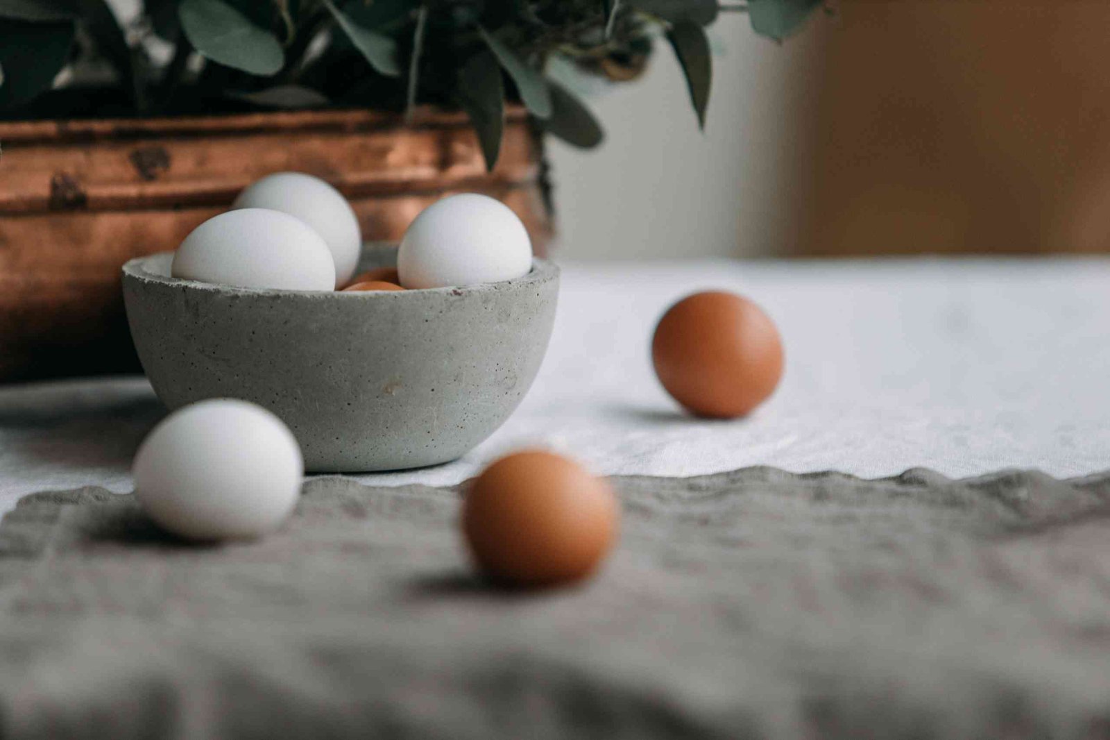 Cómo conservar los huevos en buen estado