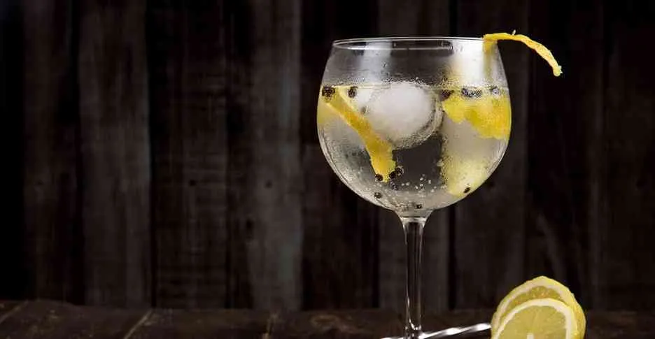 Gin historia de una bebida de moda